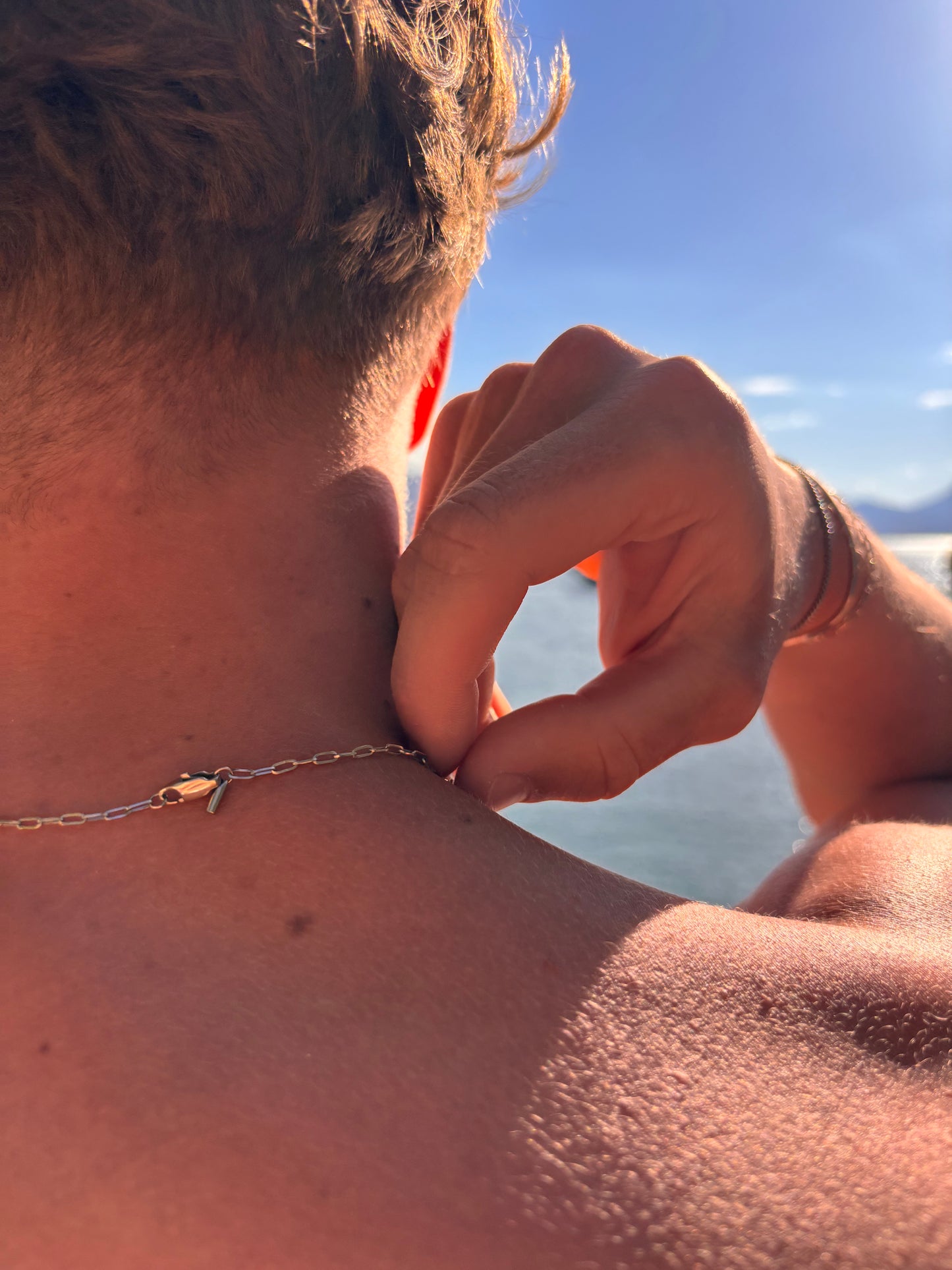 Clip | Halsband