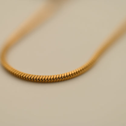 Snake | Halsband